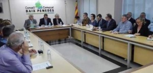 Consell2